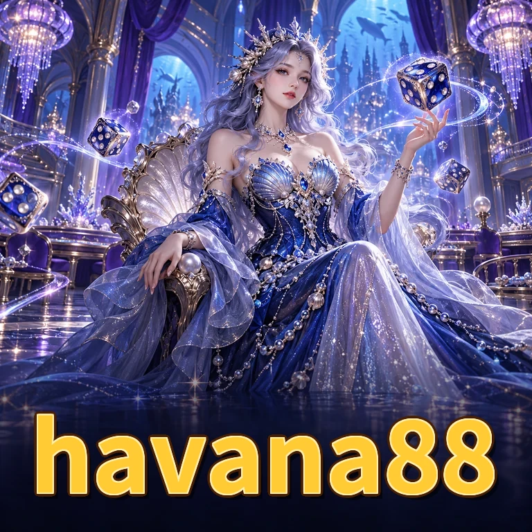 Developer Info havana88